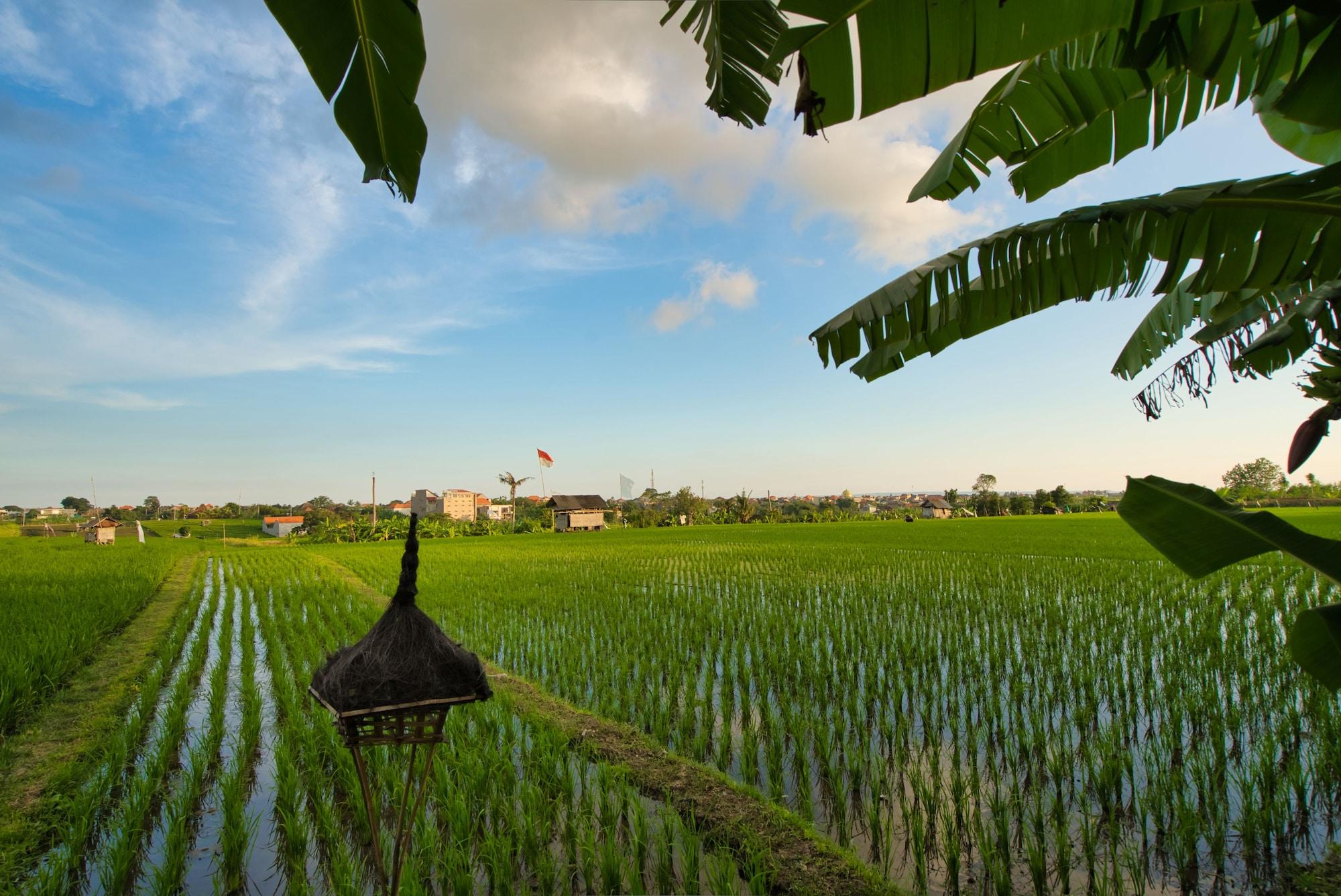 Sotis Villas Canggu  Exterior photo